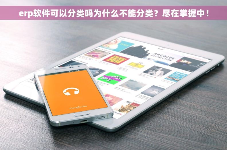 erp软件可以分类吗为什么不能分类？尽在掌握中！