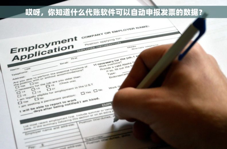 哎呀，你知道什么代账软件可以自动申报发票的数据？