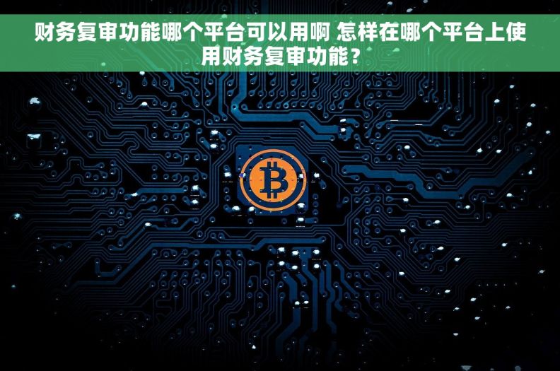 财务复审功能哪个平台可以用啊 怎样在哪个平台上使用财务复审功能？