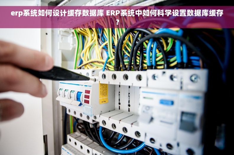erp系统如何设计缓存数据库 ERP系统中如何科学设置数据库缓存？