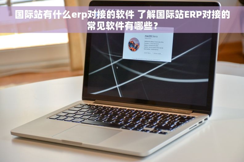 国际站有什么erp对接的软件 了解国际站ERP对接的常见软件有哪些？