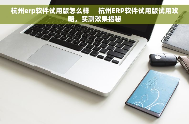 杭州erp软件试用版怎么样     杭州ERP软件试用版试用攻略，实测效果揭秘