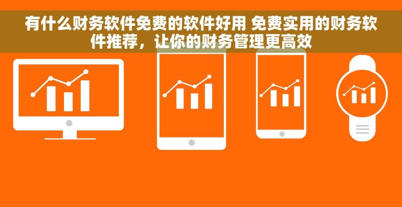 有什么财务软件免费的软件好用 免费实用的财务软件推荐，让你的财务管理更高效