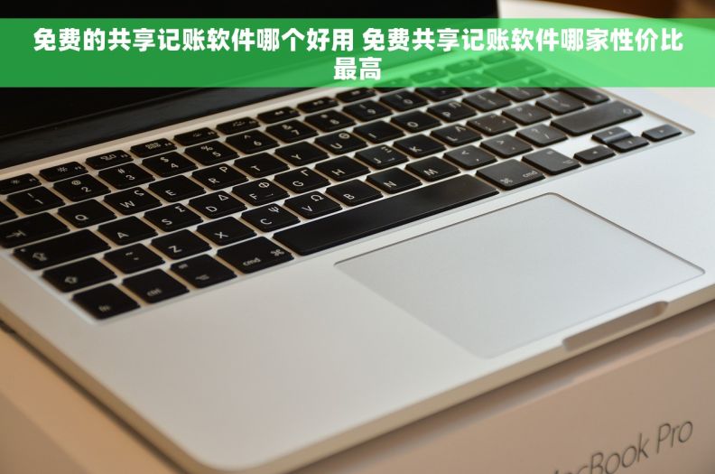 免费的共享记账软件哪个好用 免费共享记账软件哪家性价比最高
