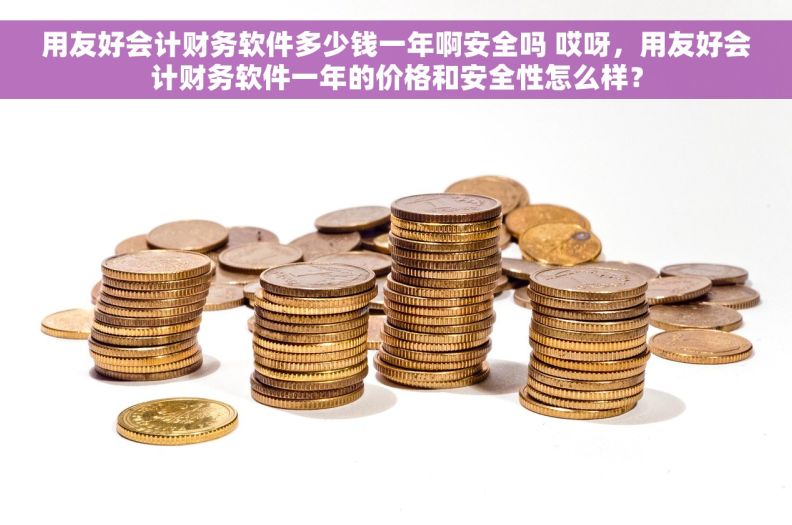 用友好会计财务软件多少钱一年啊安全吗 哎呀，用友好会计财务软件一年的价格和安全性怎么样？