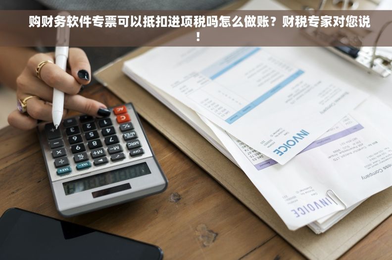   购财务软件专票可以抵扣进项税吗怎么做账？财税专家对您说！