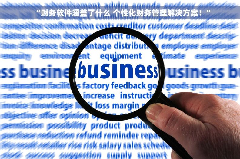 “财务软件涵盖了什么 个性化财务管理解决方案！”