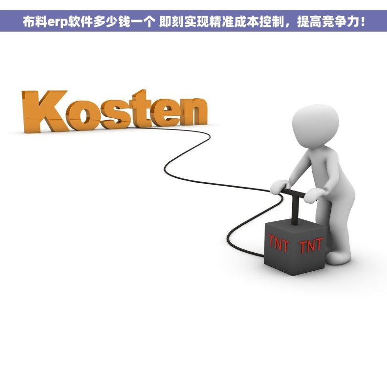 布料erp软件多少钱一个 即刻实现精准成本控制，提高竞争力！