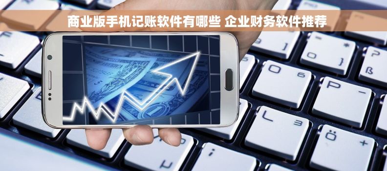   商业版手机记账软件有哪些 企业财务软件推荐