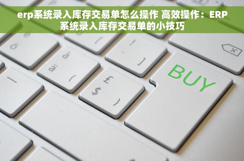 erp系统录入库存交易单怎么操作 高效操作：ERP系统录入库存交易单的小技巧