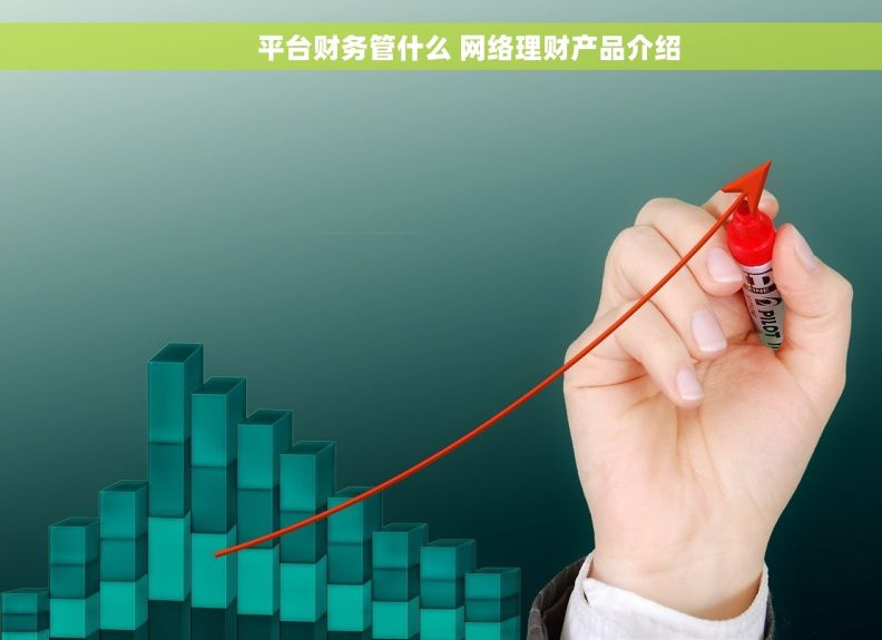         平台财务管什么 网络理财产品介绍