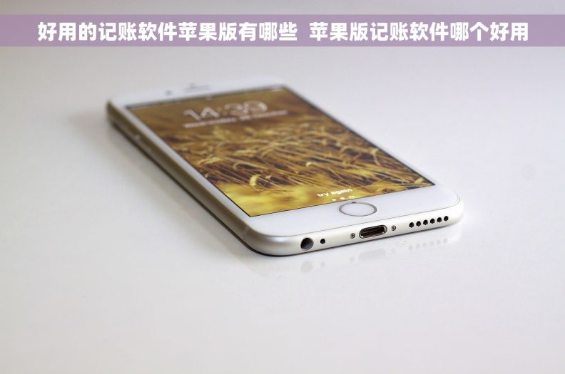 好用的记账软件苹果版有哪些  苹果版记账软件哪个好用