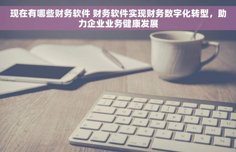 现在有哪些财务软件 财务软件实现财务数字化转型，助力企业业务健康发展