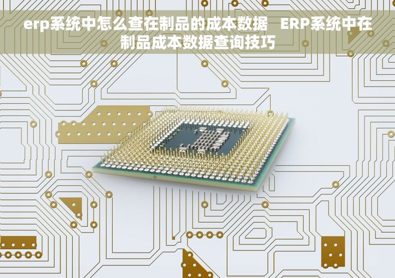 erp系统中怎么查在制品的成本数据   ERP系统中在制品成本数据查询技巧