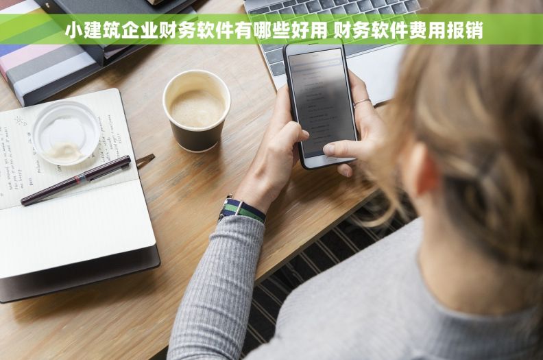  小建筑企业财务软件有哪些好用 财务软件费用报销