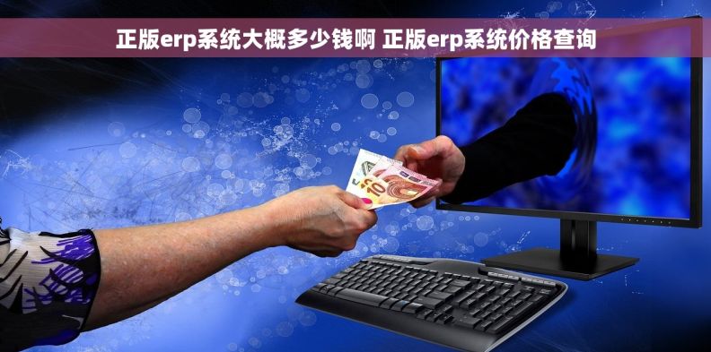 正版erp系统大概多少钱啊 正版erp系统价格查询
