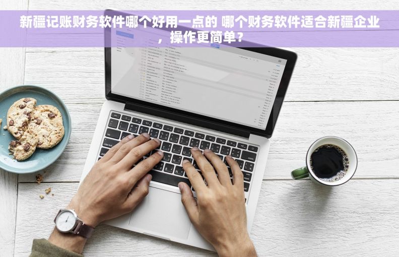 新疆记账财务软件哪个好用一点的 哪个财务软件适合新疆企业，操作更简单？