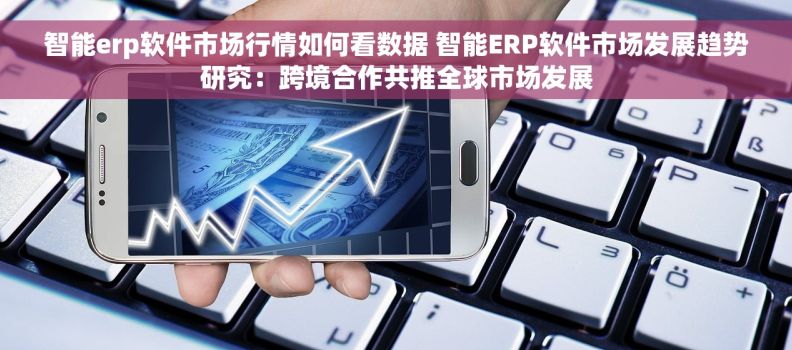 智能erp软件市场行情如何看数据 智能ERP软件市场发展趋势研究：跨境合作共推全球市场发展