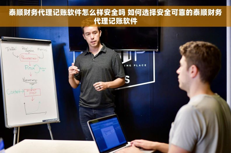 泰顺财务代理记账软件怎么样安全吗 如何选择安全可靠的泰顺财务代理记账软件