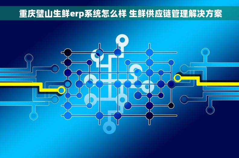  重庆璧山生鲜erp系统怎么样 生鲜供应链管理解决方案