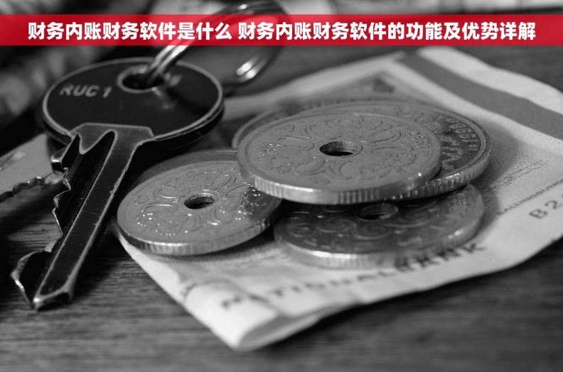 财务内账财务软件是什么 财务内账财务软件的功能及优势详解