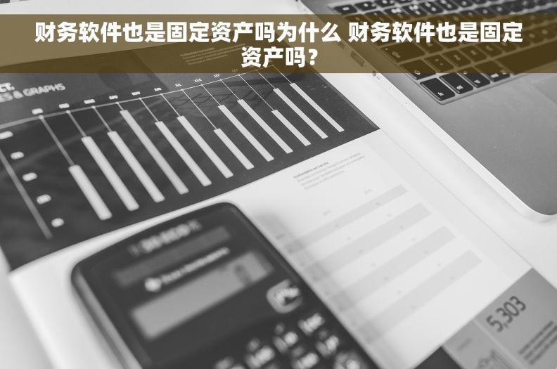 财务软件也是固定资产吗为什么 财务软件也是固定资产吗？