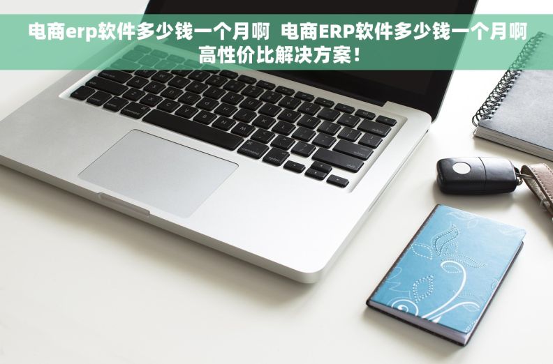 电商erp软件多少钱一个月啊  电商ERP软件多少钱一个月啊 高性价比解决方案！