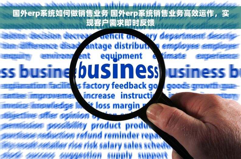 国外erp系统如何做销售业务 国外erp系统销售业务高效运作，实现客户需求即时反馈
