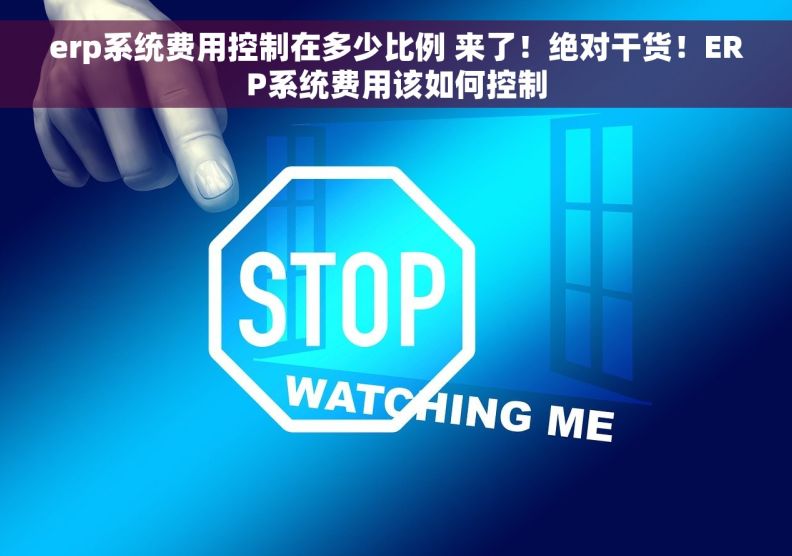 erp系统费用控制在多少比例 来了！绝对干货！ERP系统费用该如何控制