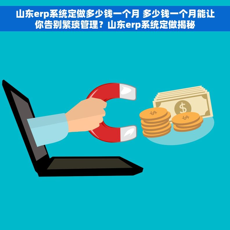 山东erp系统定做多少钱一个月 多少钱一个月能让你告别繁琐管理？山东erp系统定做揭秘
