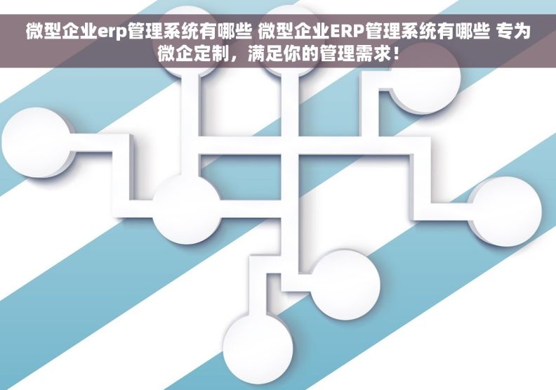 微型企业erp管理系统有哪些 微型企业ERP管理系统有哪些 专为微企定制，满足你的管理需求！