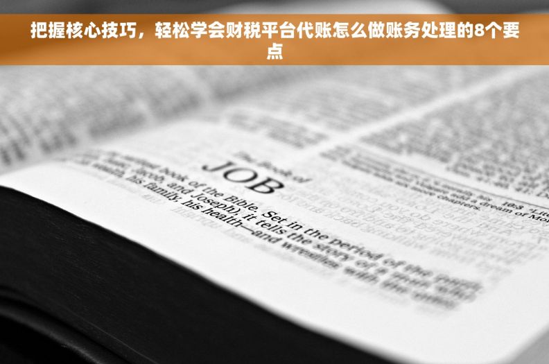 把握核心技巧，轻松学会财税平台代账怎么做账务处理的8个要点