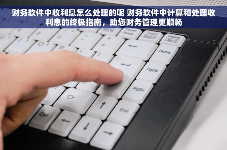财务软件中收利息怎么处理的呢 财务软件中计算和处理收利息的终极指南，助您财务管理更顺畅
