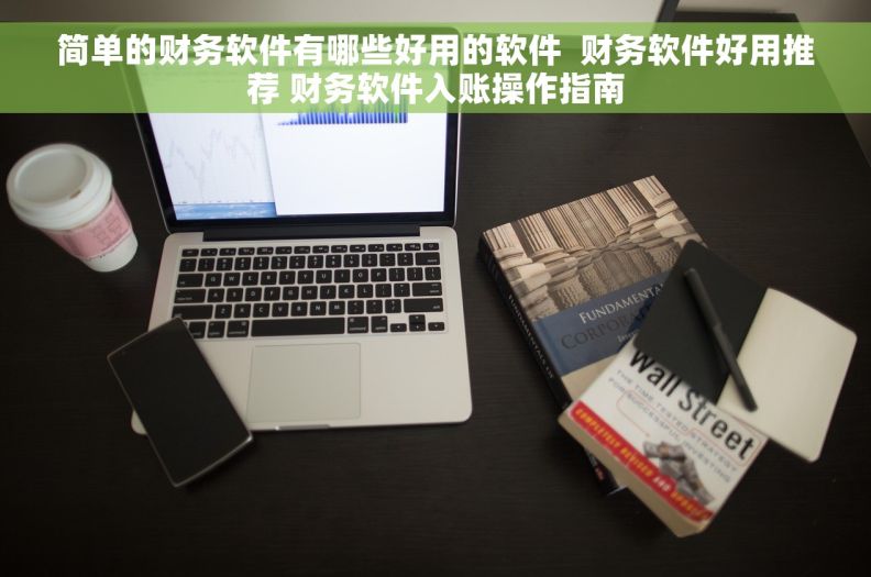 简单的财务软件有哪些好用的软件  财务软件好用推荐 财务软件入账操作指南