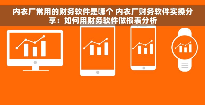 内衣厂常用的财务软件是哪个 内衣厂财务软件实操分享：如何用财务软件做报表分析