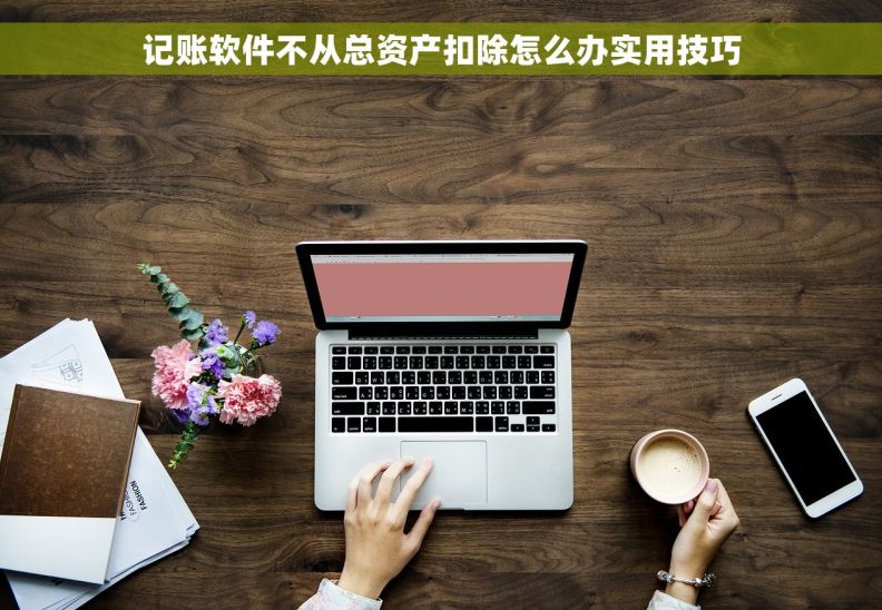 记账软件不从总资产扣除怎么办实用技巧