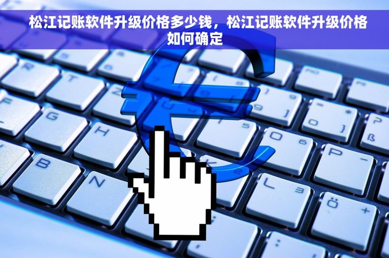   松江记账软件升级价格多少钱，松江记账软件升级价格如何确定