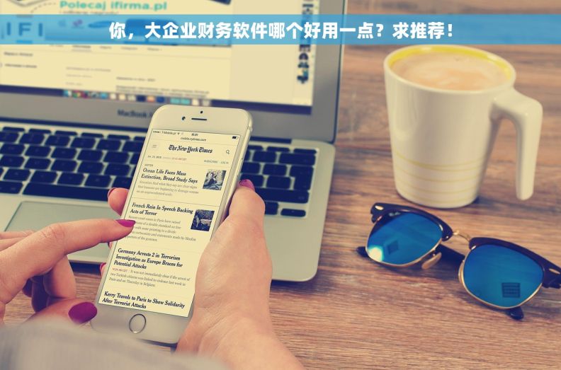 你，大企业财务软件哪个好用一点？求推荐！