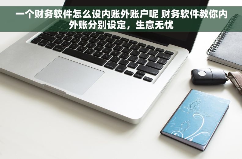 一个财务软件怎么设内账外账户呢 财务软件教你内外账分别设定，生意无忧