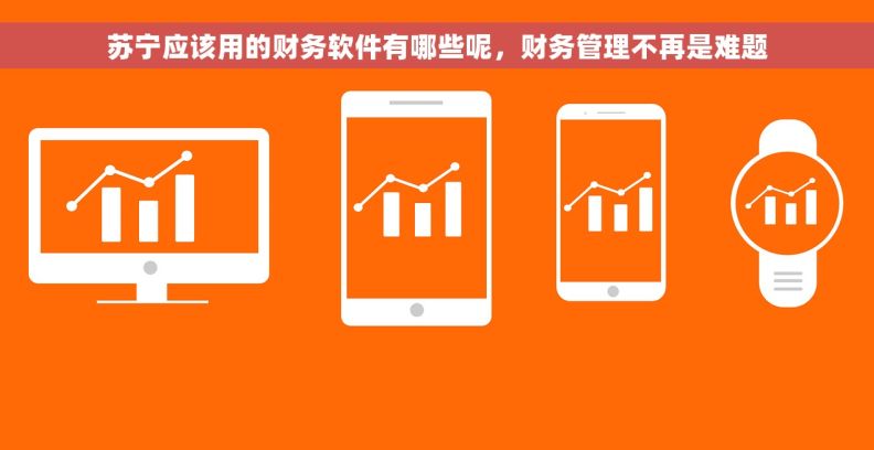 苏宁应该用的财务软件有哪些呢，财务管理不再是难题