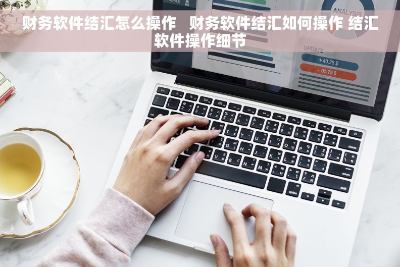 财务软件结汇怎么操作   财务软件结汇如何操作 结汇软件操作细节