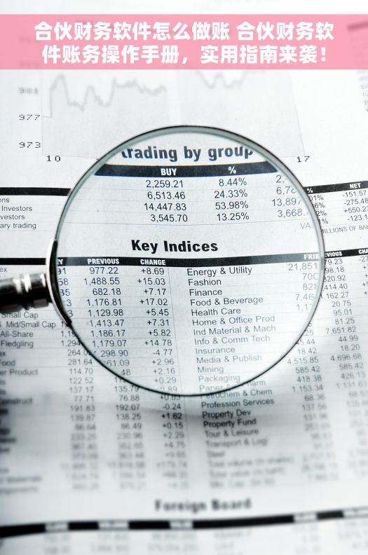 合伙财务软件怎么做账 合伙财务软件账务操作手册，实用指南来袭！