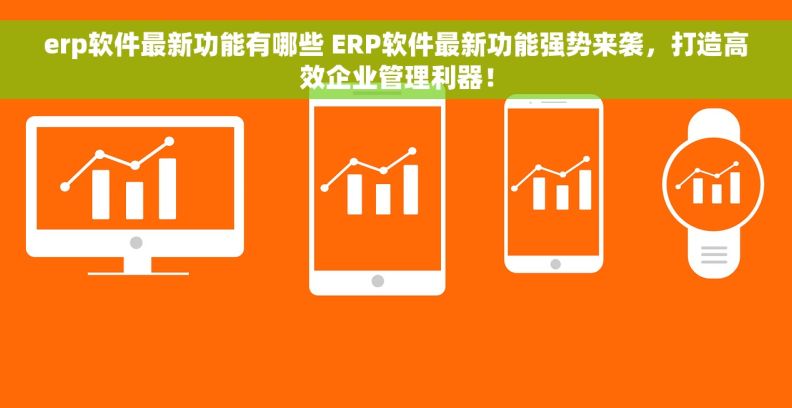 erp软件最新功能有哪些 ERP软件最新功能强势来袭，打造高效企业管理利器！
