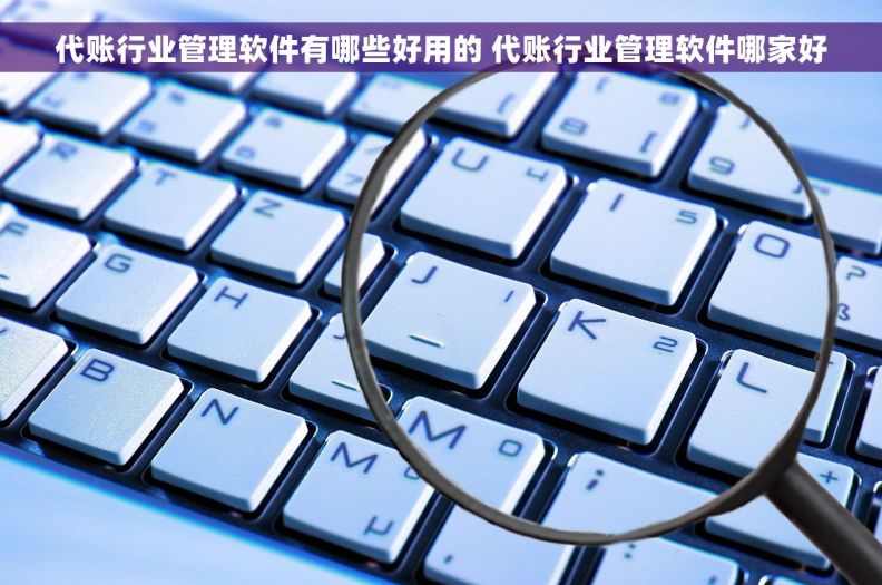 代账行业管理软件有哪些好用的 代账行业管理软件哪家好