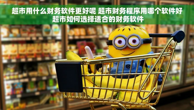 超市用什么财务软件更好呢 超市财务程序用哪个软件好 超市如何选择适合的财务软件