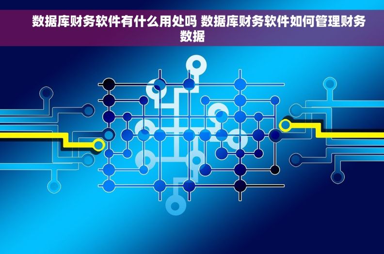     数据库财务软件有什么用处吗 数据库财务软件如何管理财务数据