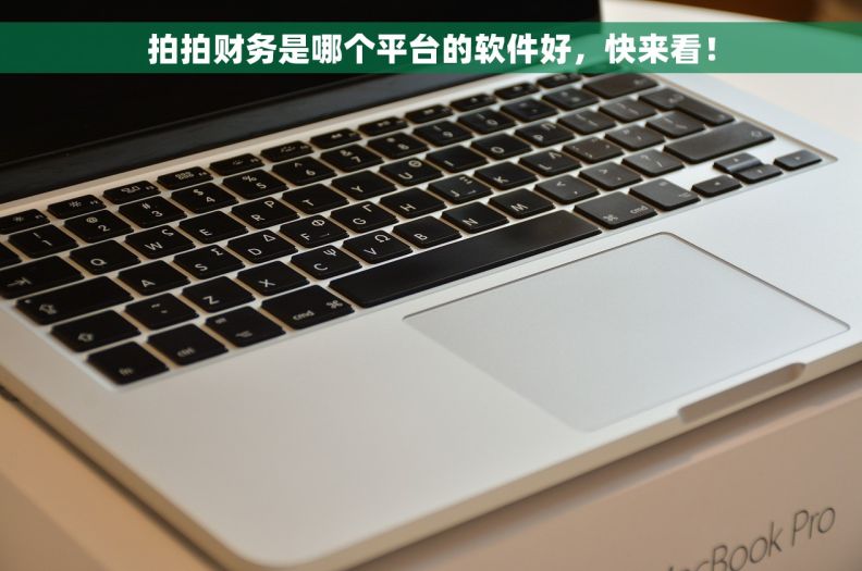 拍拍财务是哪个平台的软件好，快来看！