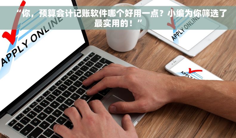 “你，预算会计记账软件哪个好用一点？小编为你筛选了最实用的！”
