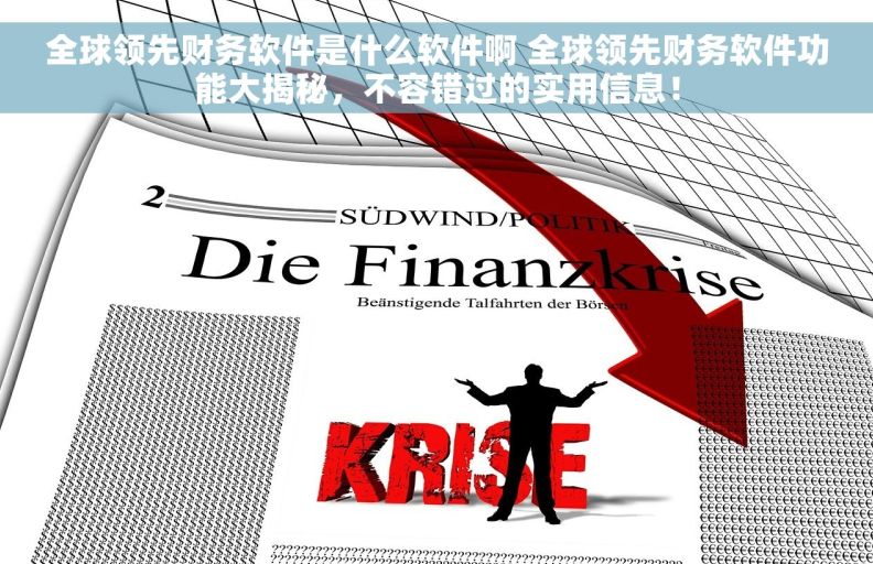 全球领先财务软件是什么软件啊 全球领先财务软件功能大揭秘，不容错过的实用信息！