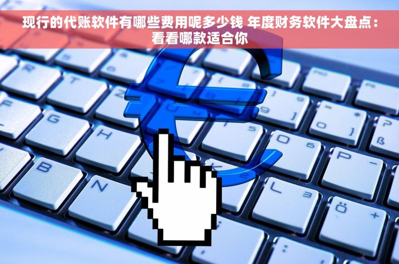 现行的代账软件有哪些费用呢多少钱 年度财务软件大盘点：看看哪款适合你